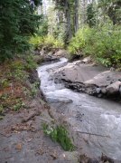 Newton Creek Oct 16 2005 044 